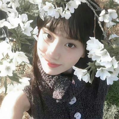 七个秘书电影版